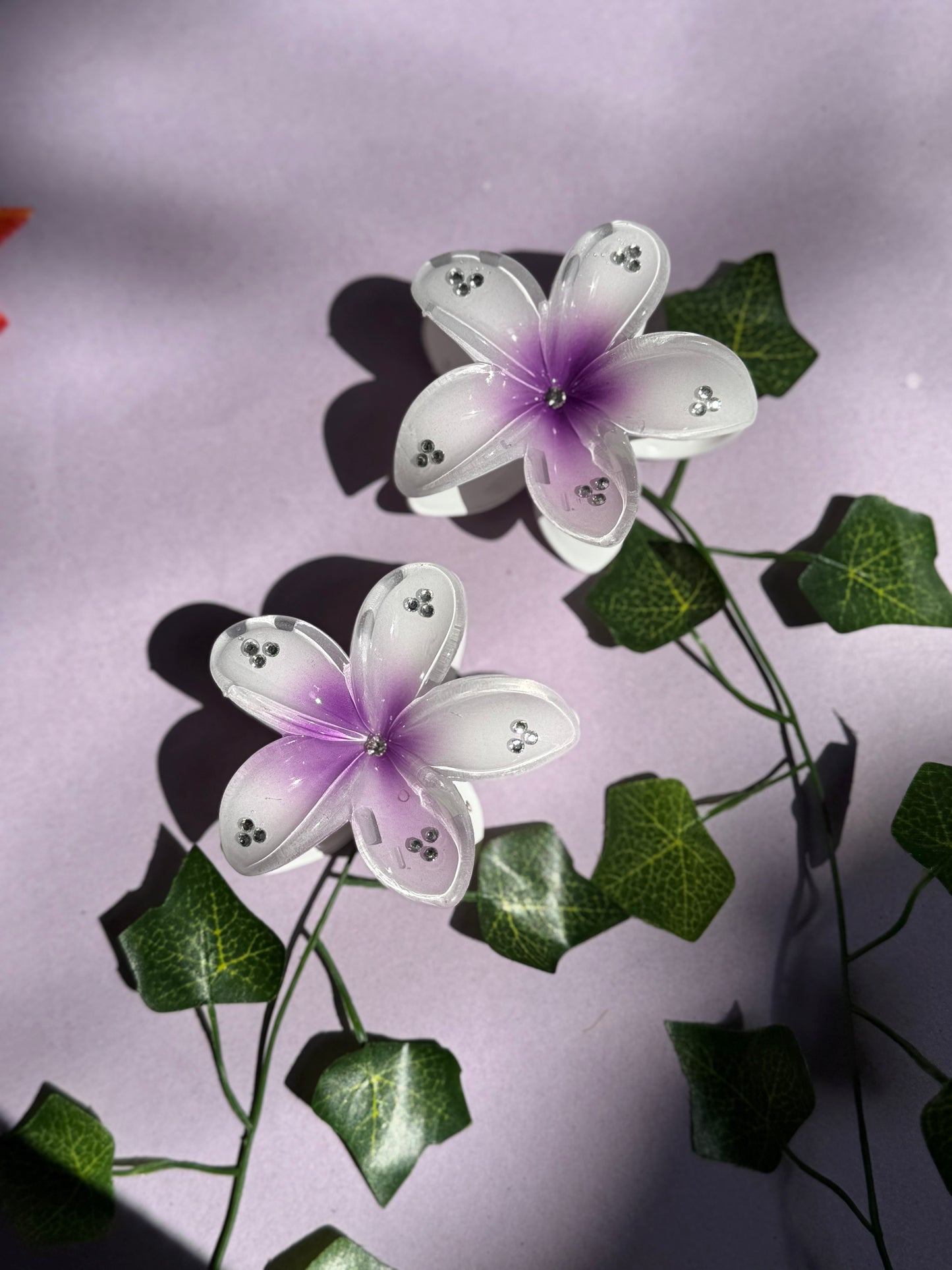 Pair of 2 Hibiscus Flower Catcher