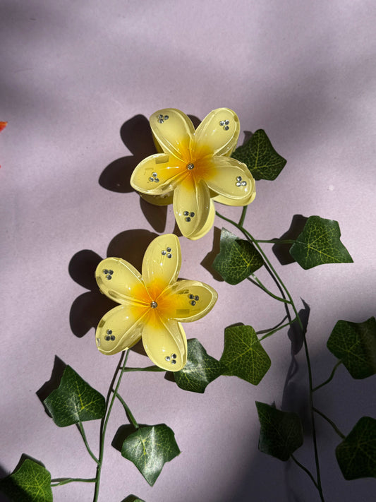 Pair of 2 Hibiscus Flower Catcher