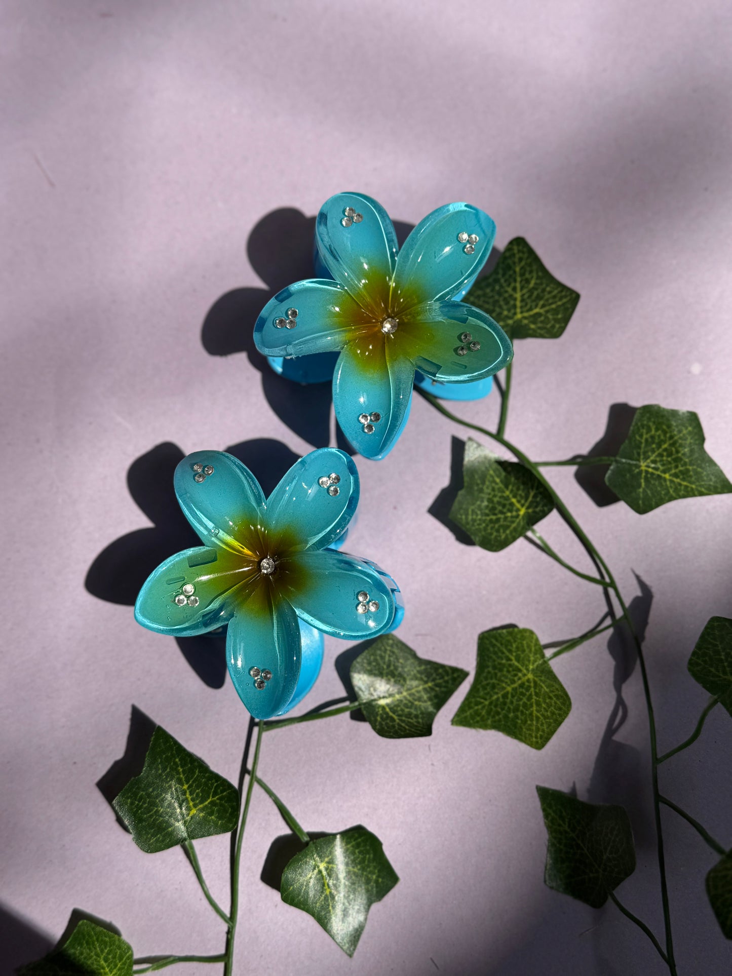 Pair of 2 Hibiscus Flower Catcher