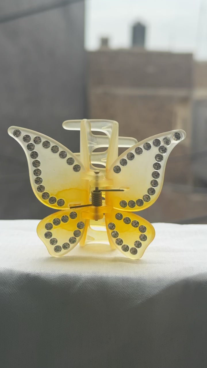 Pair of Butterfly Hair Catcher