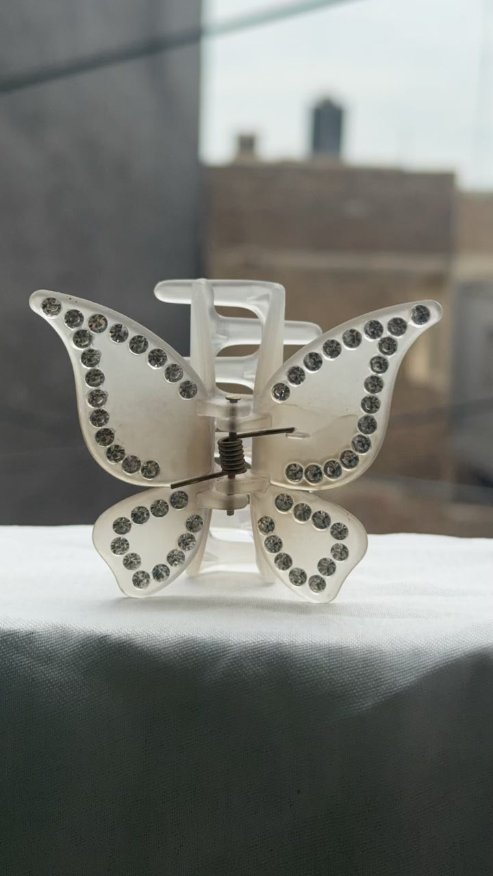 Pair of Butterfly Hair Catcher