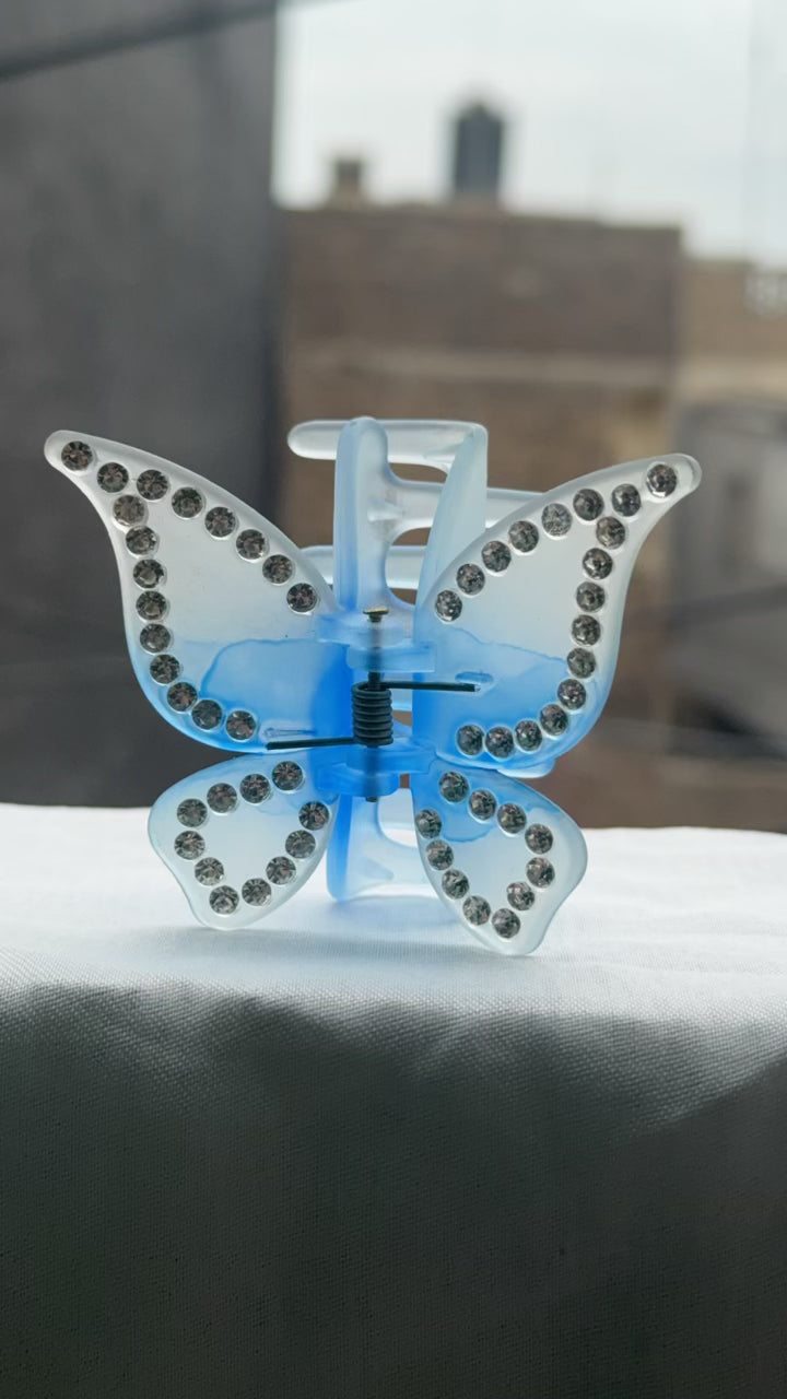 Pair of Butterfly Hair Catcher