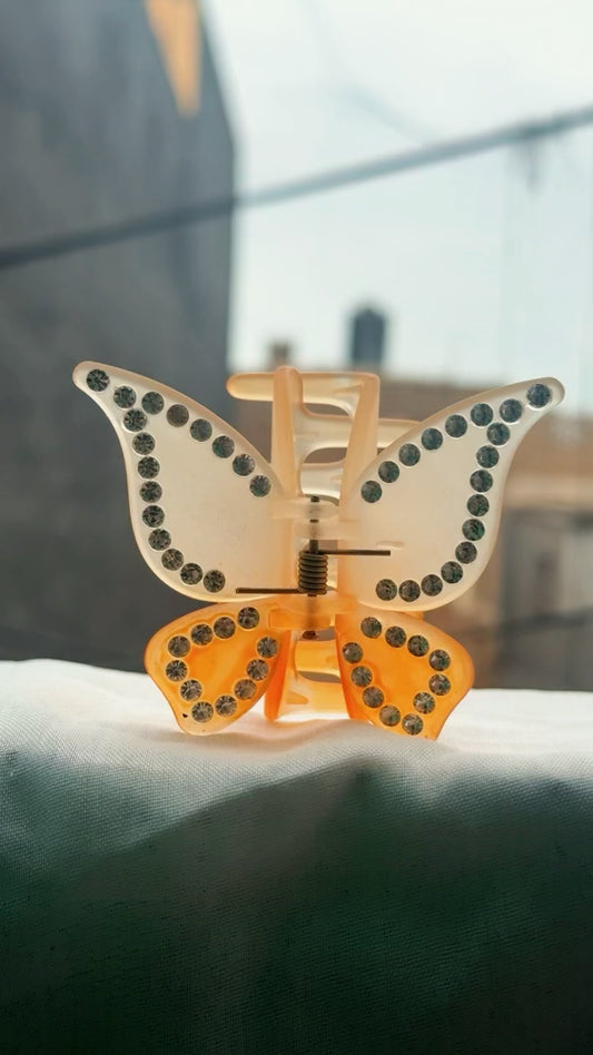 Pair of Butterfly Hair Catcher